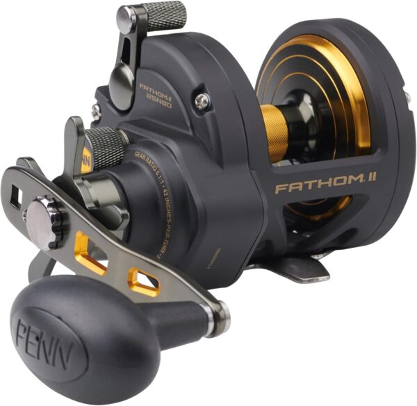 Reel Penn Fathom II Star Drag - oro negro, 25N
